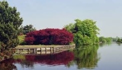 Rondvaart 4
